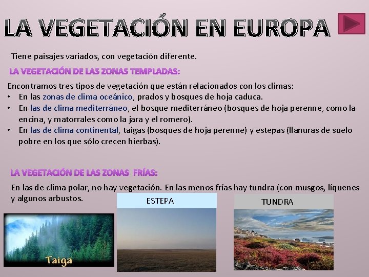 LA VEGETACIÓN EN EUROPA Tiene paisajes variados, con vegetación diferente. LA VEGETACIÓN DE LAS