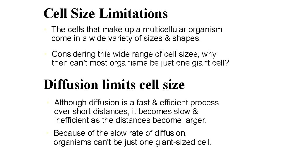 Cell Size Limitations • The cells that make up a multicellular organism come in