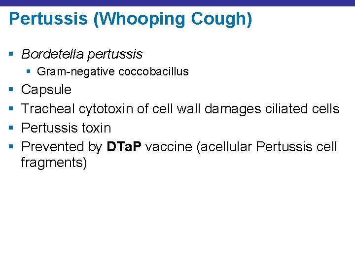 Pertussis (Whooping Cough) § Bordetella pertussis § Gram-negative coccobacillus § § Capsule Tracheal cytotoxin