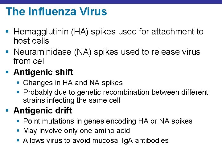 The Influenza Virus § Hemagglutinin (HA) spikes used for attachment to host cells §