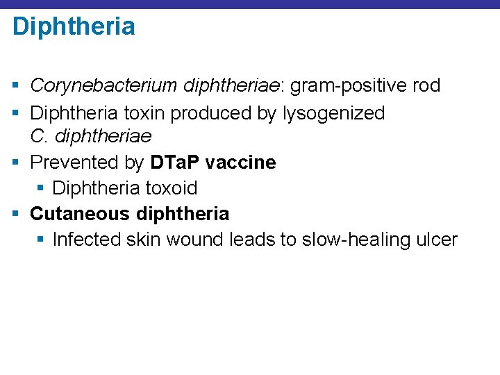Diphtheria § Corynebacterium diphtheriae: gram-positive rod § Diphtheria toxin produced by lysogenized C. diphtheriae