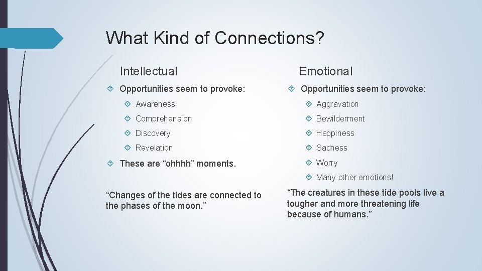 What Kind of Connections? Intellectual Opportunities seem to provoke: Emotional Opportunities seem to provoke: