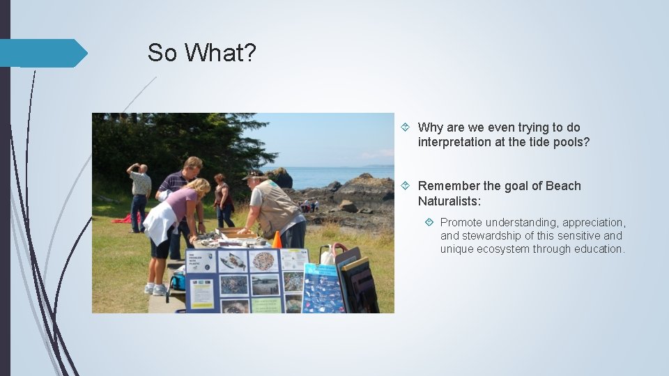 So What? Why are we even trying to do interpretation at the tide pools?