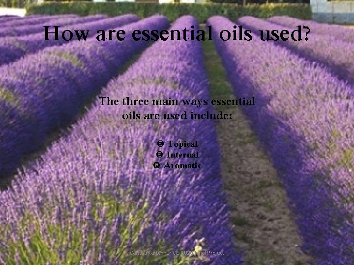 How are essential oils used? The three main ways essential oils are used include: