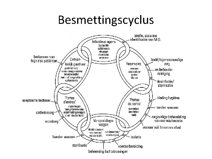Besmettingscyclus 