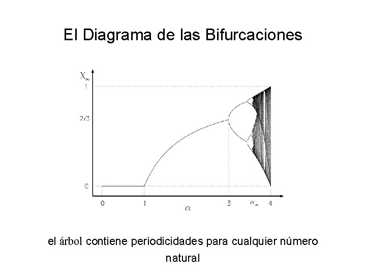 El Diagrama de las Bifurcaciones el árbol contiene periodicidades para cualquier número natural 