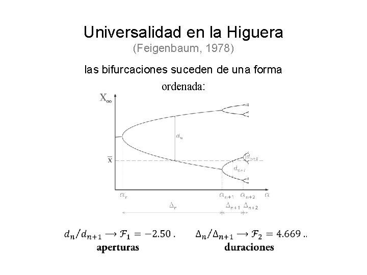 Universalidad en la Higuera (Feigenbaum, 1978) las bifurcaciones suceden de una forma ordenada: 