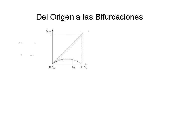 Del Origen a las Bifurcaciones 