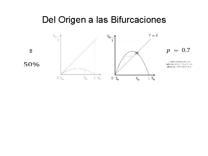 Del Origen a las Bifurcaciones 