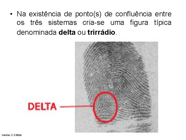 • Na existência de ponto(s) de confluência entre os três sistemas cria-se uma • Na existência de ponto(s) de confluência entre os três sistemas cria-se uma