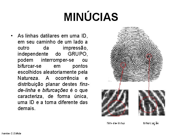 MINÚCIAS • As linhas datilares em uma ID, em seu caminho de um lado MINÚCIAS • As linhas datilares em uma ID, em seu caminho de um lado