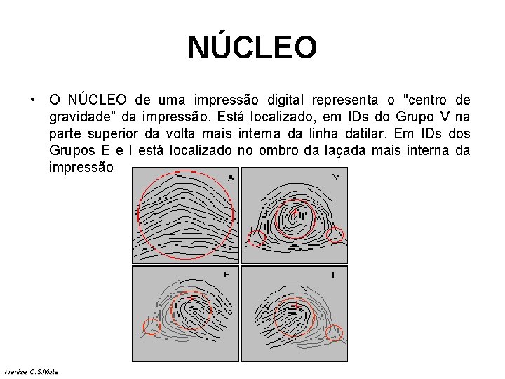 NÚCLEO • O NÚCLEO de uma impressão digital representa o "centro de gravidade" da NÚCLEO • O NÚCLEO de uma impressão digital representa o "centro de gravidade" da