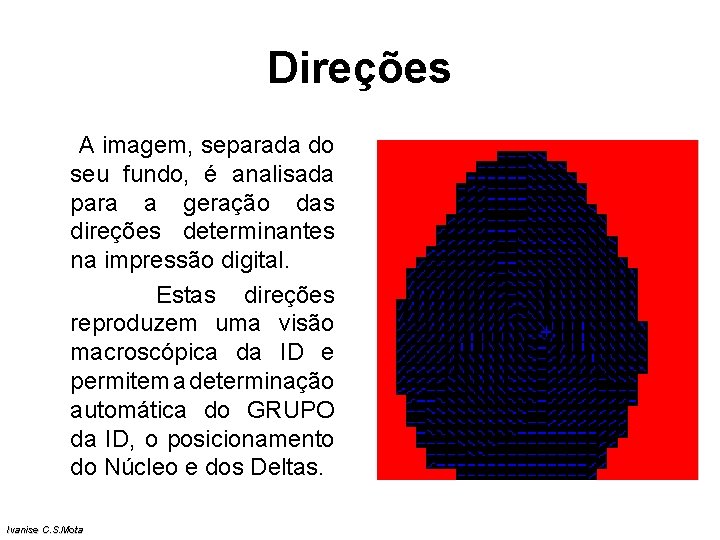 Direções A imagem, separada do seu fundo, é analisada para a geração das direções Direções A imagem, separada do seu fundo, é analisada para a geração das direções