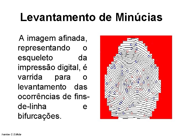 Levantamento de Minúcias A imagem afinada, representando o esqueleto da impressão digital, é varrida Levantamento de Minúcias A imagem afinada, representando o esqueleto da impressão digital, é varrida