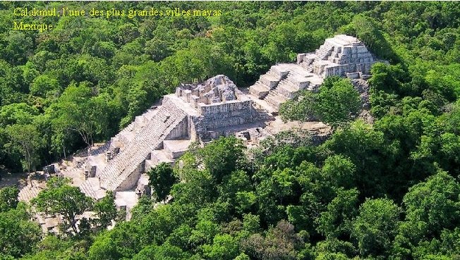 Calakmul, l’une des plus grandes villes mayas Mexique 