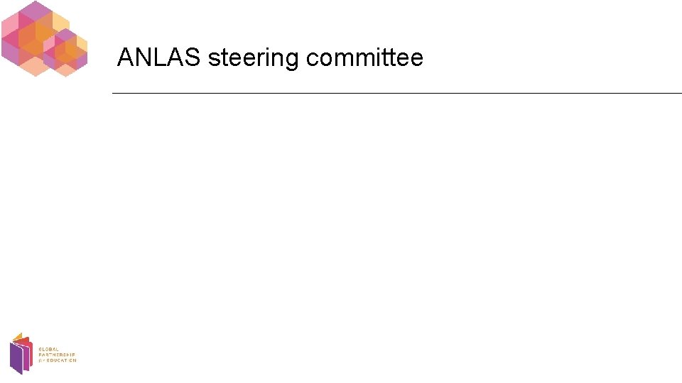 ANLAS steering committee 