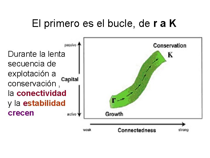 El primero es el bucle, de r a K Durante la lenta secuencia de