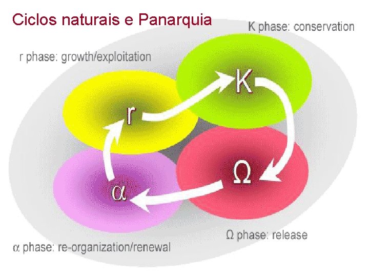 Ciclos naturais e Panarquia 