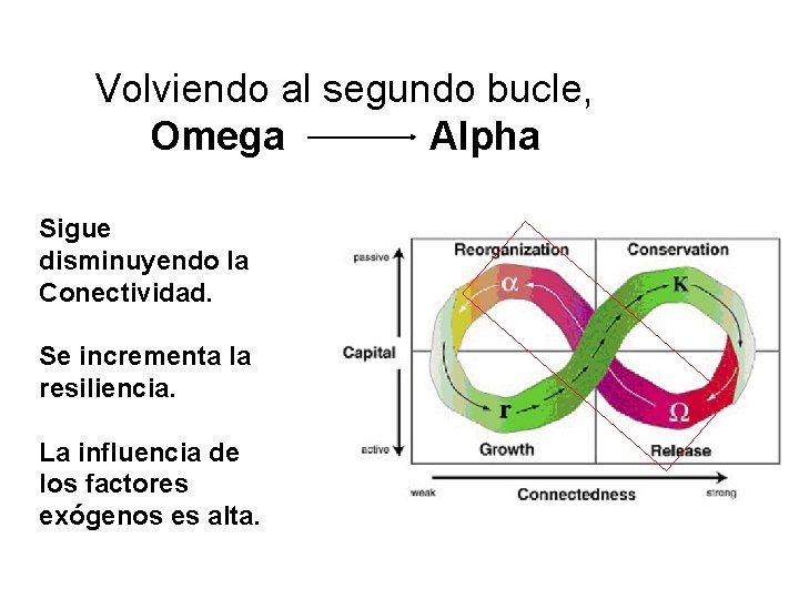 Volviendo al segundo bucle, Omega Alpha Sigue disminuyendo la Conectividad. Se incrementa la resiliencia.