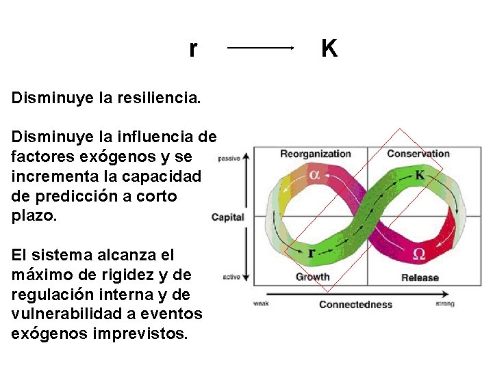 r Disminuye la resiliencia. Disminuye la influencia de factores exógenos y se incrementa la