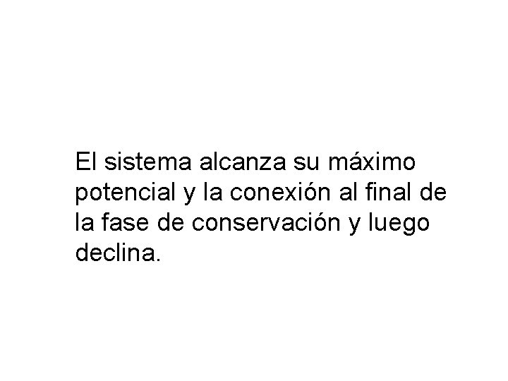 El sistema alcanza su máximo potencial y la conexión al final de la fase