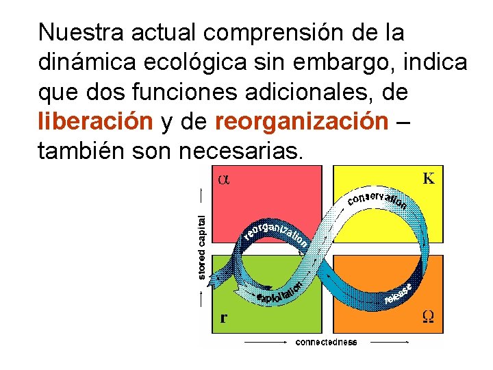 Nuestra actual comprensión de la dinámica ecológica sin embargo, indica que dos funciones adicionales,