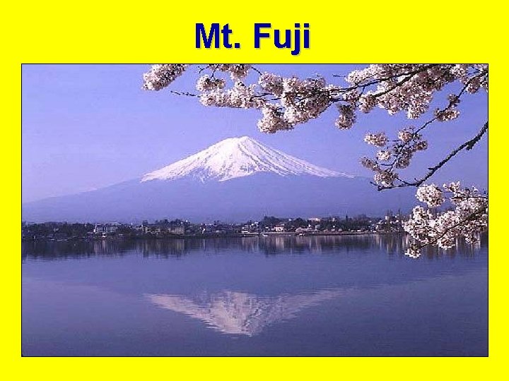 Mt. Fuji 