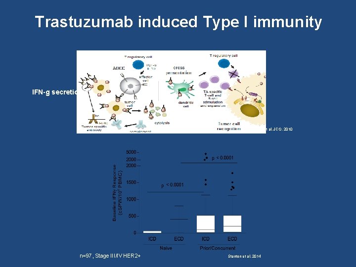 Trastuzumab induced Type I immunity IFN-g secretion Ferris et al, JCO, 2010 n=97, Stage