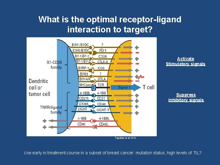 What is the optimal receptor-ligand interaction to target? Activate Stimulatory signals Suppress Inhibitory signals