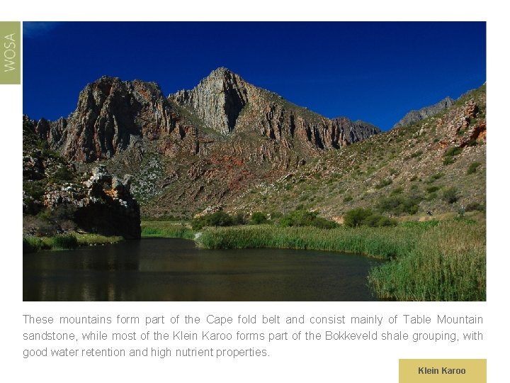 These mountains form part of the Cape fold belt and consist mainly of Table