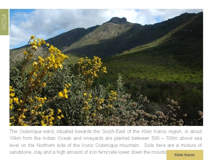 The Outeniqua ward, situated towards the South-East of the Klein Karoo region, is about