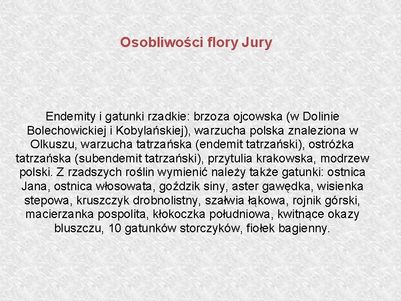 Osobliwości flory Jury Endemity i gatunki rzadkie: brzoza ojcowska (w Dolinie Bolechowickiej i Kobylańskiej),