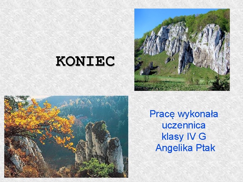 KONIEC Pracę wykonała uczennica klasy IV G Angelika Ptak 