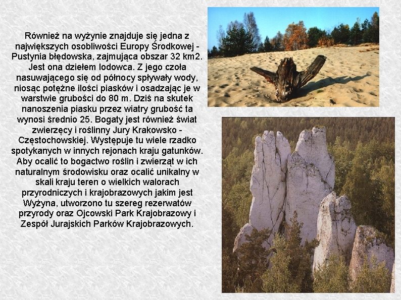 Również na wyżynie znajduje się jedna z największych osobliwości Europy Środkowej Pustynia błędowska, zajmująca