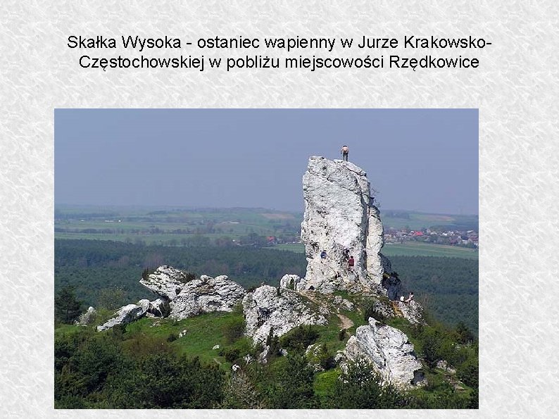 Skałka Wysoka - ostaniec wapienny w Jurze Krakowsko. Częstochowskiej w pobliżu miejscowości Rzędkowice 