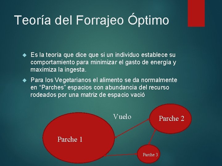 Teoría del Forrajeo Óptimo Es la teoría que dice que si un individuo establece Teoría del Forrajeo Óptimo Es la teoría que dice que si un individuo establece