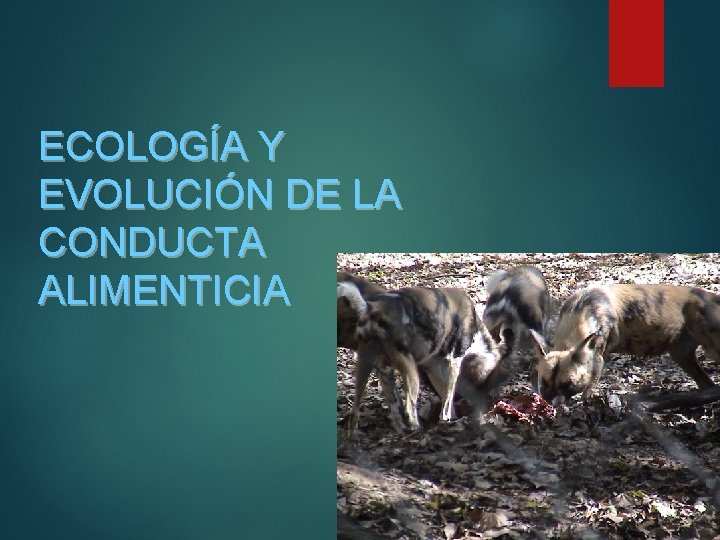 ECOLOGÍA Y EVOLUCIÓN DE LA CONDUCTA ALIMENTICIA ECOLOGÍA Y EVOLUCIÓN DE LA CONDUCTA ALIMENTICIA