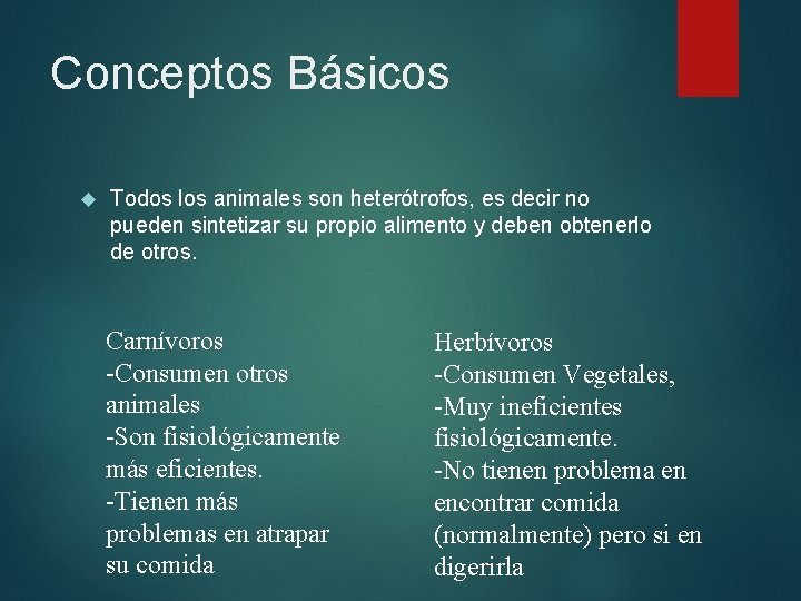 Conceptos Básicos Todos los animales son heterótrofos, es decir no pueden sintetizar su propio Conceptos Básicos Todos los animales son heterótrofos, es decir no pueden sintetizar su propio