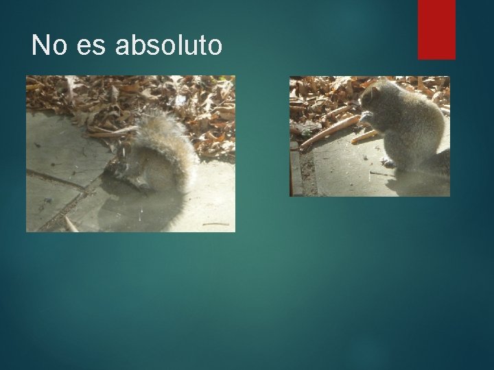 No es absoluto No es absoluto