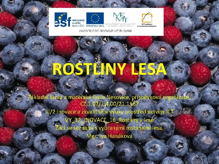 ROSTLINY LESA Základní škola a mateřská škola Nesovice, příspěvková organizace; CZ. 1. 07/1. 4.