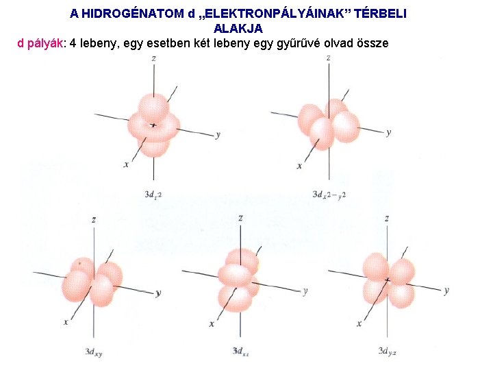 A HIDROGÉNATOM d „ELEKTRONPÁLYÁINAK” TÉRBELI ALAKJA d pályák: 4 lebeny, egy esetben két lebeny