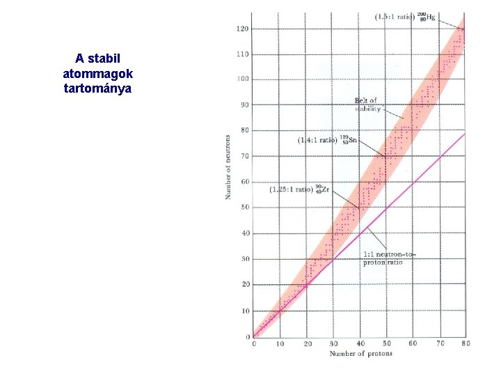 A stabil atommagok tartománya 