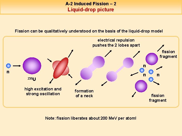 A-2 Induced Fission – 2 Liquid-drop picture Fission can be qualitatively understood on the