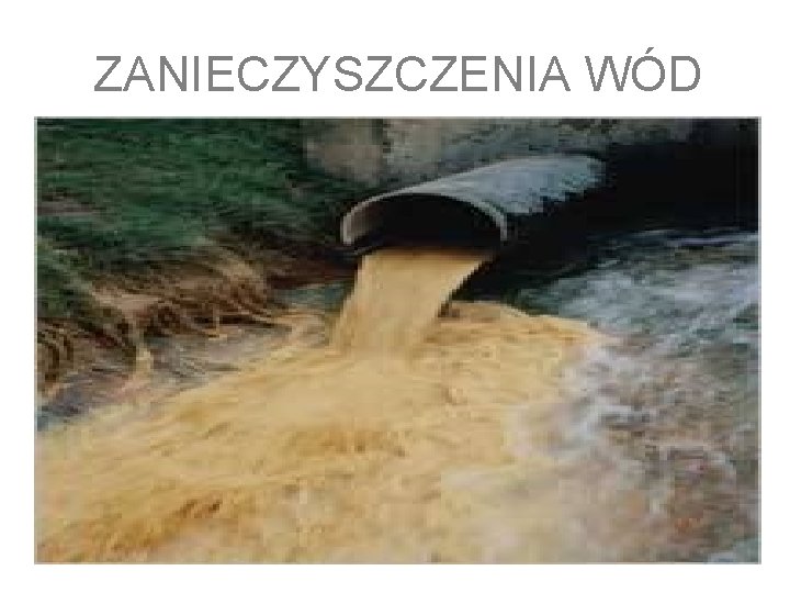 ZANIECZYSZCZENIA WÓD 