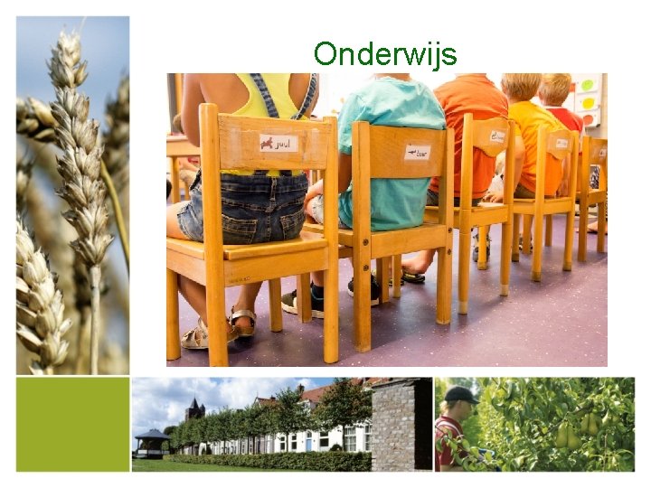 Onderwijs 