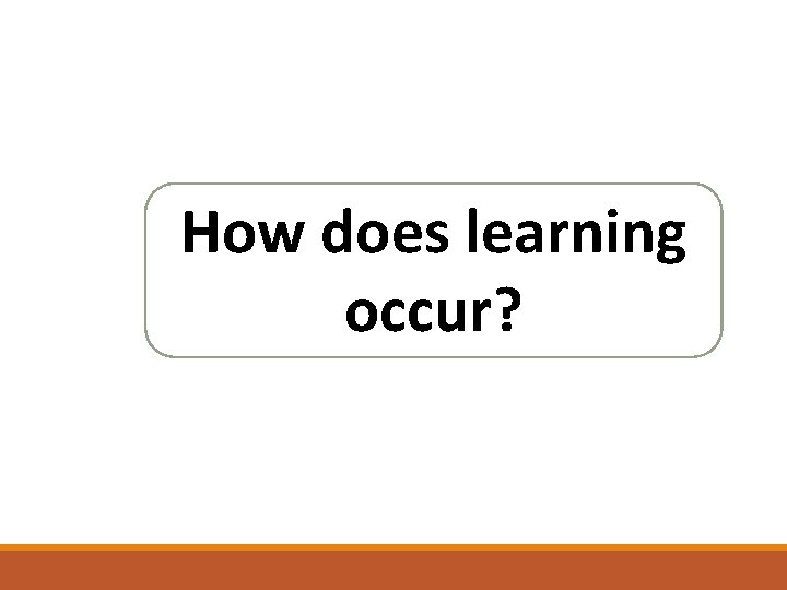 How does learning occur? How does learning occur?
