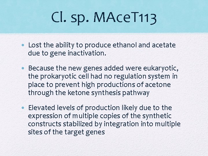 Cl. sp. MAce. T 113 • Lost the ability to produce ethanol and acetate Cl. sp. MAce. T 113 • Lost the ability to produce ethanol and acetate