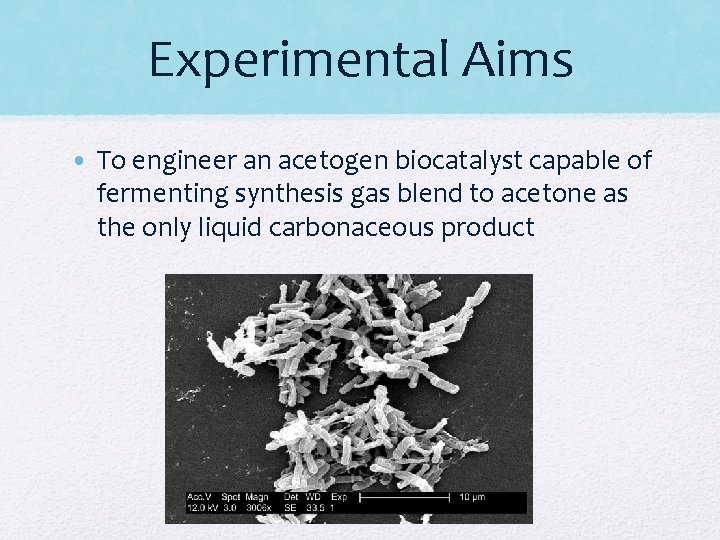 Experimental Aims • To engineer an acetogen biocatalyst capable of fermenting synthesis gas blend Experimental Aims • To engineer an acetogen biocatalyst capable of fermenting synthesis gas blend