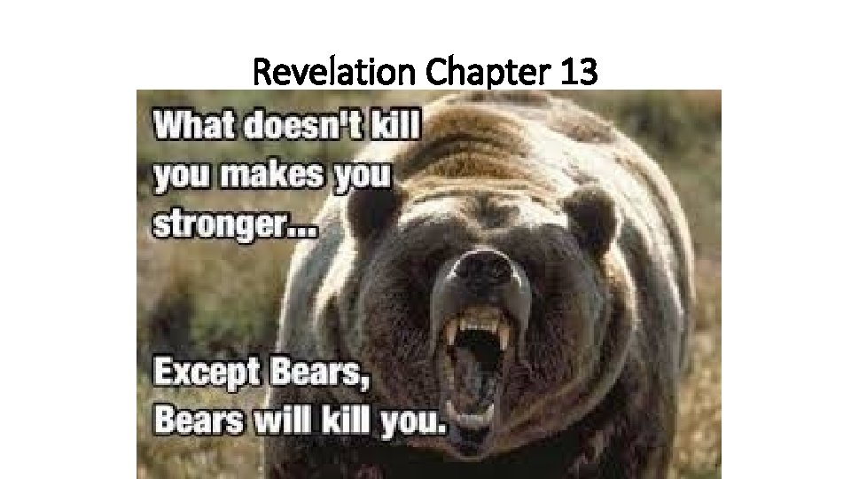 Revelation Chapter 13 
