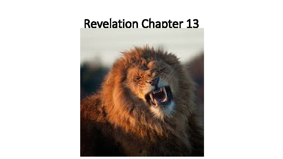 Revelation Chapter 13 